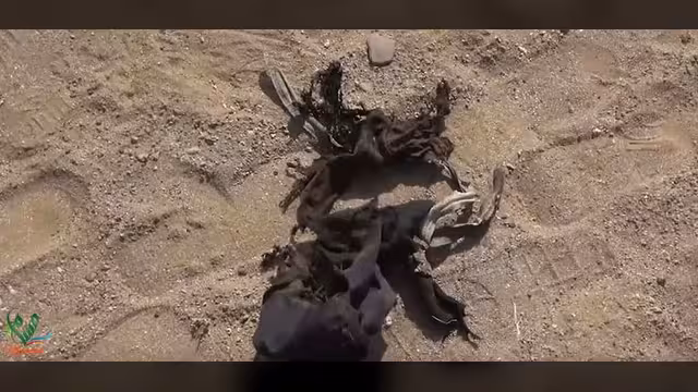ألغام الحوثي تحصد ضحايا مدنيين في تعز والحديدة