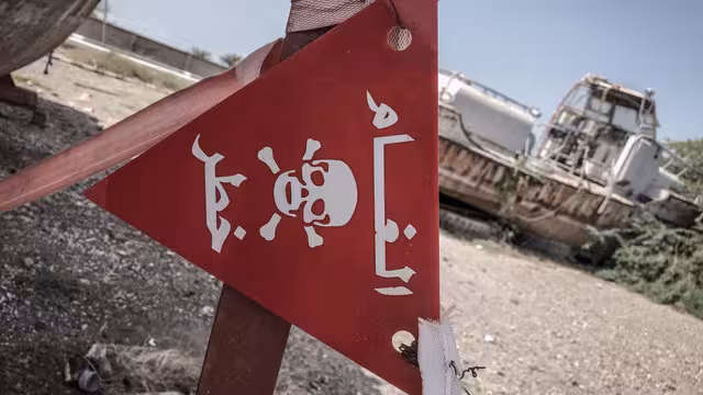 بعثة أونمها الأممية في الحديدة تنجو من ألغام حوثية غربي اليمن