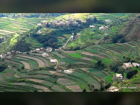 تراجع الإنتاج الزراعي في اليمن يفاقم أزمة الغذاء