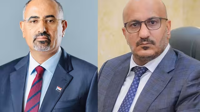 طارق صالح وعيدروس الزبيدي يؤكدان دعم الجبهات والبنك المركزي