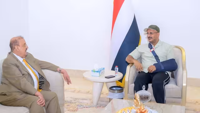 رئيس مجلس النواب يطمئن على العميد طارق صالح