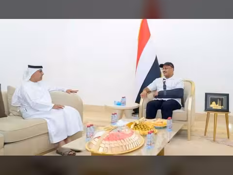 طارق صالح يناقش مع سفير الإمارات التطورات في اليمن