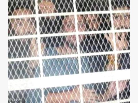 تأجيل محاكمة 16 متهماً بالانتماء للقاعدة أعلنوا إضرابهم عن الطعام