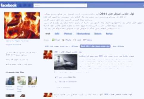 شاب مصري يعلن على الفيس بوك انه اول المنتحرين في 2011