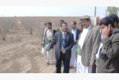 نجاة محافظ صعدة ومدير مكتب الزراعة بالمحافظة من محاولة اغتيال