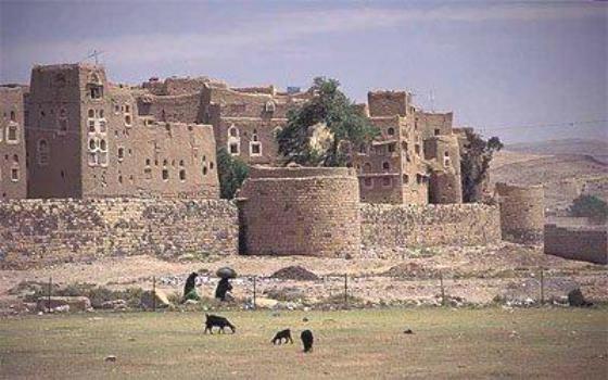 وفد من اليونسكو يزور اليمن للاطلاع على احتياجات إنقاذ مدينة “زبيد”