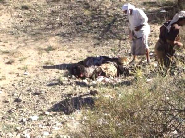 البيضاء: 12 قتيلاً على الأقل بينهم مدنيون والاشلاء ممزقة