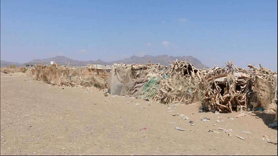 خور عميرة في لحج.. معاناة في سبيل الحفاظ البقاء