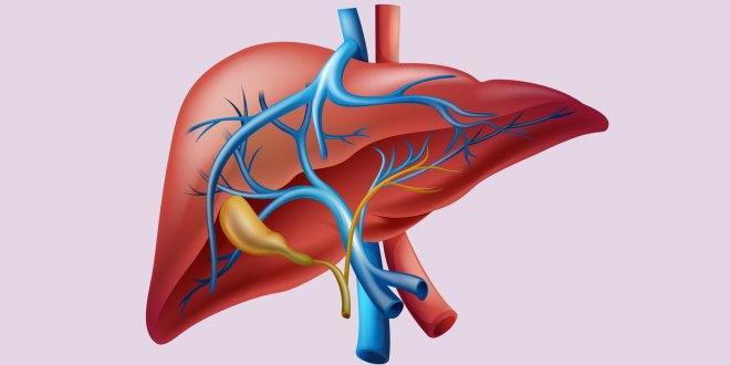 اكتشاف جديد يمنح مرضى سرطان الكبد أملاً في الحياة