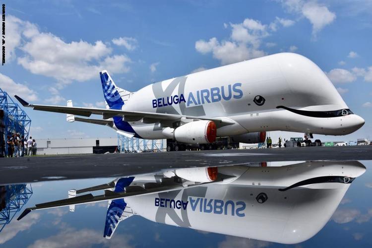 إيرباص تصمم طائرة على هيئة الحوت الأزرق