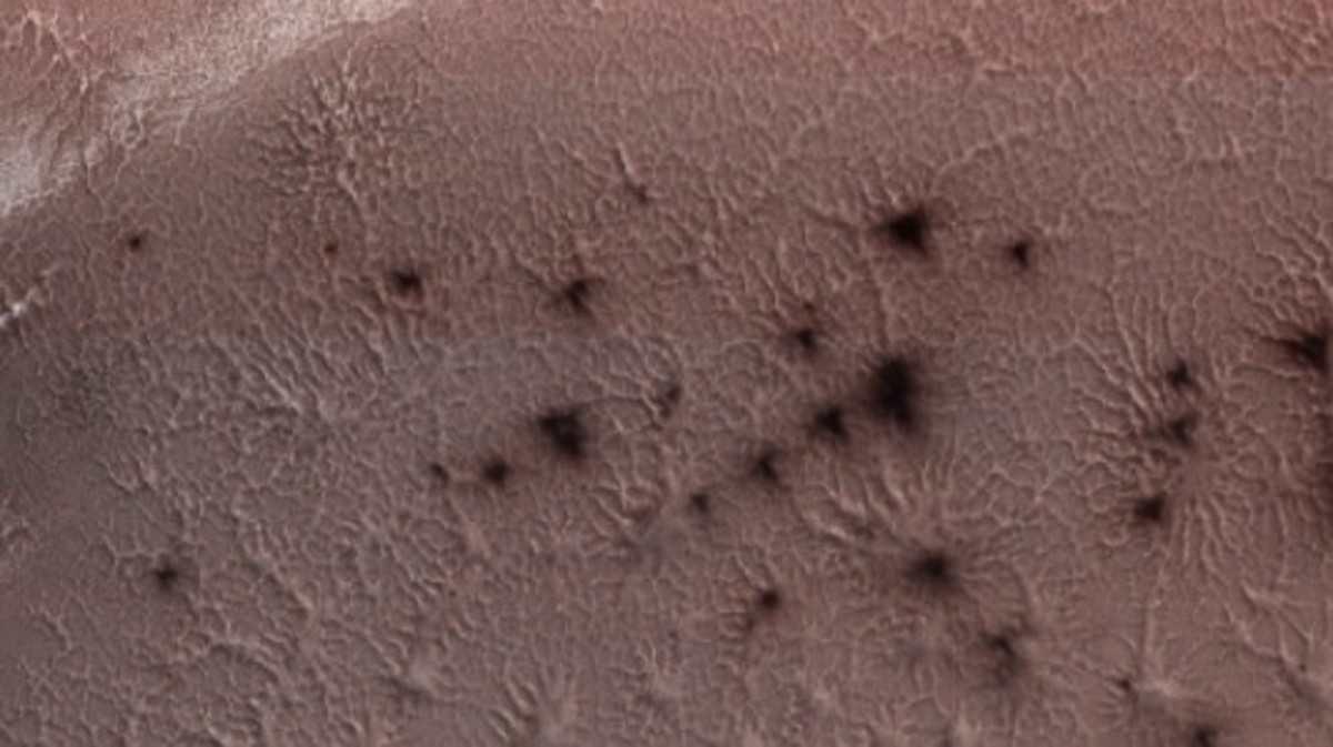 عناكب فضائية على سطح المريخ(وكالات)