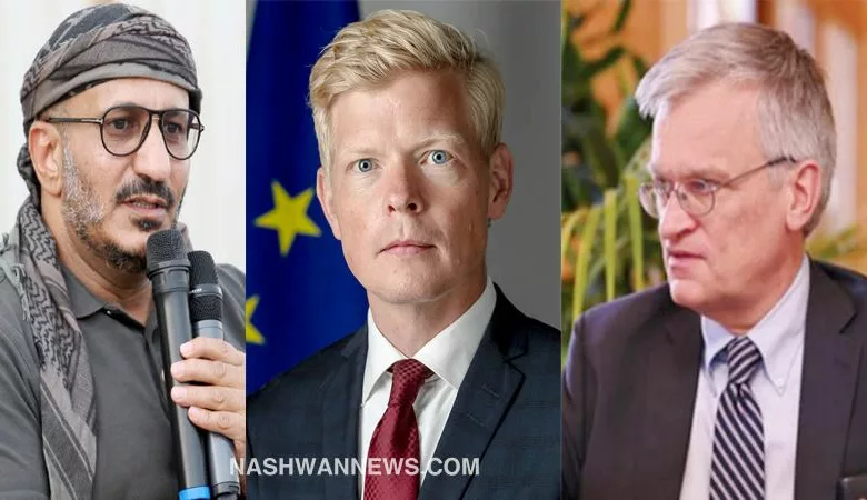 رئيس بعثىة الاتحاد الأوروبي ومبعوث السويد إلى اليمن يلتقيان طارق صالح