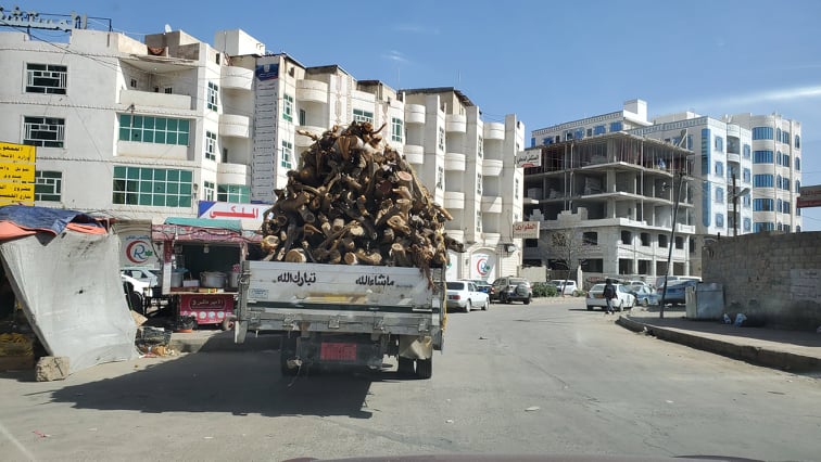 العودة إلى استخدام الحطب في اليمن يؤثر على الغطاء النباتي