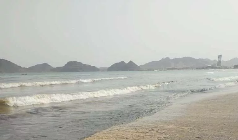 موانئ عدن تقول إنها تعمل على إزالة البواخر المتهالكة بعد غرق سفينة ديا