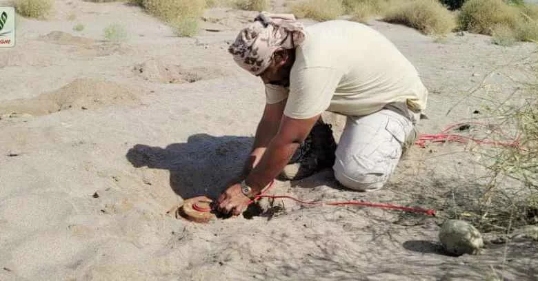 مشروع مسام السعودي ينتزع كميات جديدة من ألغام الحوثي في اليمن