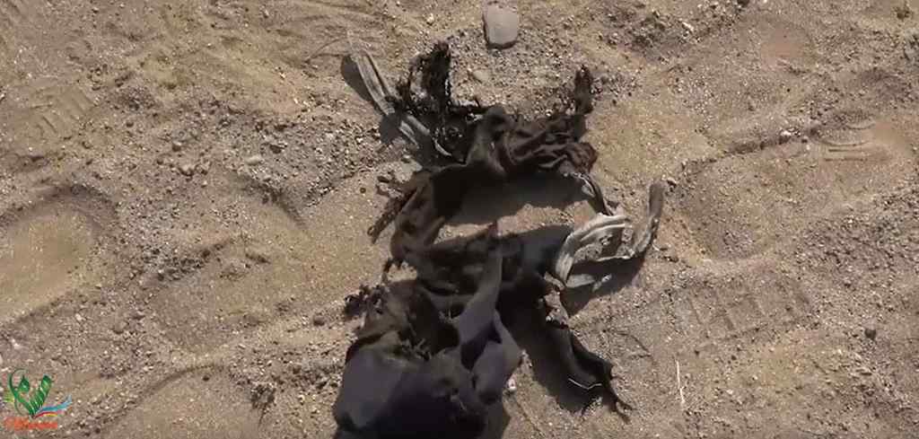 ألغام الحوثي تواصل حصد أرواح المدنيين في تعز والحديدة