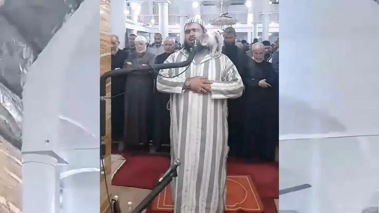 قط يصعد على جسد الشيخ وليد مهساس إمام مسجد في الجزائر