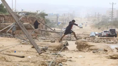 خسائر مادية كبيرة جراء إعصار تيج في محافظة سقطرى شرقي اليمن