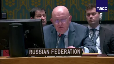 مندوب روسيا في مجلس فاسيلي نيبينزيا