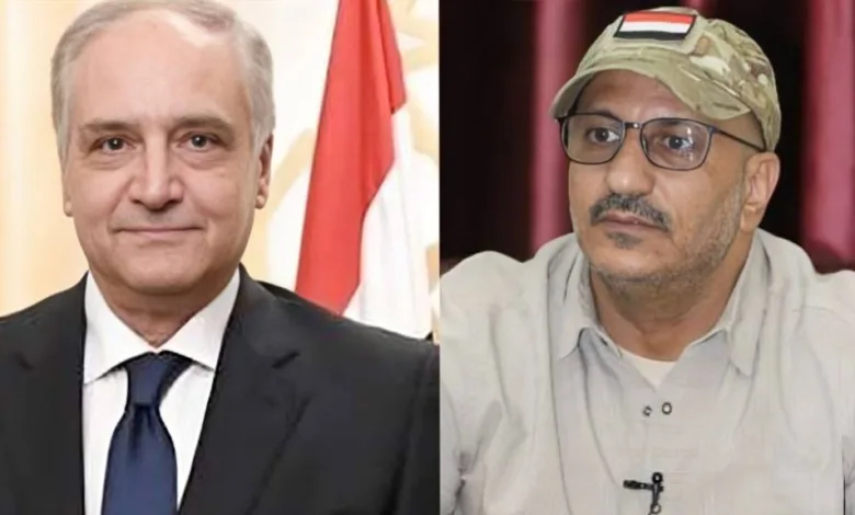 طارق صالح يبحث مع السفير السفير المصري لدى اليمن التطورات في البحر الأحمر