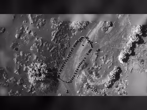 القصف الأمريكي والمراكز الصيفية وكسرة الخبز المفقودة في اليمن